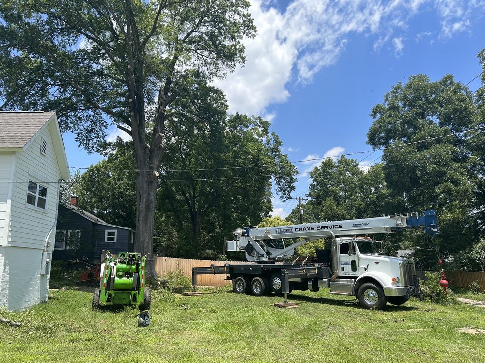 Integrity Tree - tree service in Greenville, SC