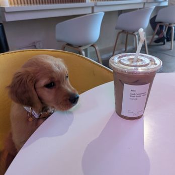 Hello Again - Coffee & Tea Near Me - Honolulu, Hawaii Hello Again - Coffee & Tea Near Me - Honolulu, Hawaii