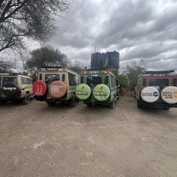 Mosaic Rhino Tours - SAFARI JEEPS - Tours Near Me Mosaic Rhino Tours - SAFARI JEEPS - Tours Near Me