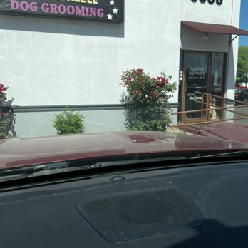 Razzle Dazzle Dog Grooming - Pet Groomers Near Me - Phoenix, Arizona Razzle Dazzle Dog Grooming - Pet Groomers Near Me - Phoenix, Arizona