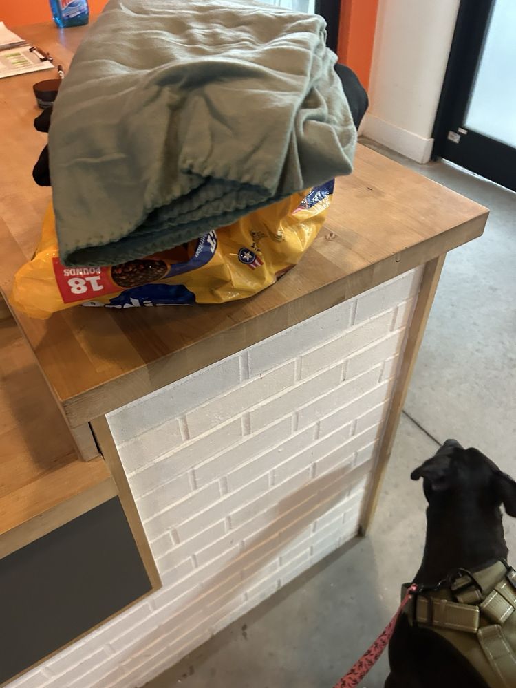 Barknona Dog Hotel - pet boarding facility in Orlando, FL
