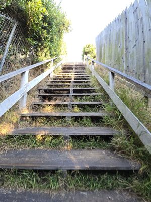 Santa Monica Stairs by null
