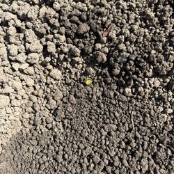 J.F. Krantz Topsoil & Nursery - "Premium "top soil