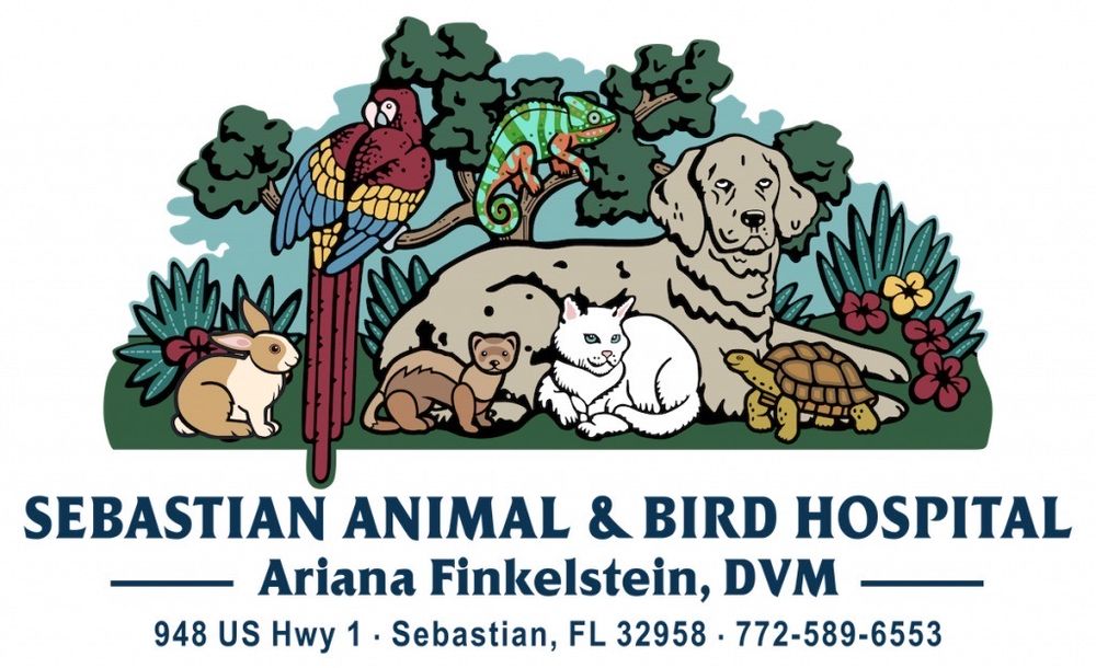 Sebastian Animal Hospital Image