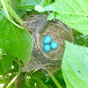 Johnnycake Flats Inn - Robin's egg blue! - Hotels Near Me - Roxbury, Vermont