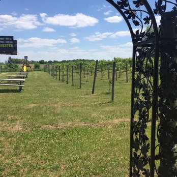 South X Southeast Minnesota Brewing - Outdoors area - Venues & Event Spaces Near Me - Pine Island, Minnesota South X Southeast Minnesota Brewing - Outdoors area - Venues & Event Spaces Near Me - Pine Island, Minnesota