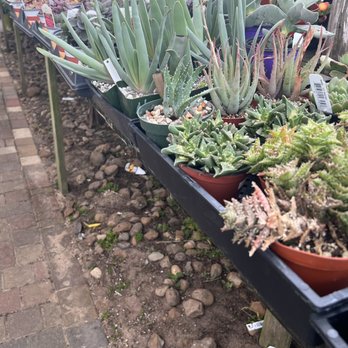 The Arbor Gate - Nurseries & Gardening Near Me - Tomball, Texas