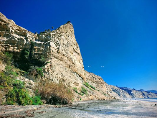 Black's Beach by null