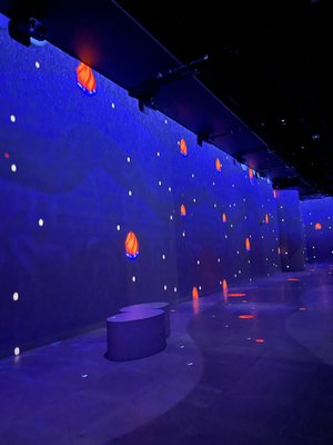 OASIS immersion by null