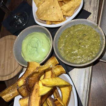 Nineteen 61 - Chips, Avocado Mousse, and 61 Salsa Lunch - Latin American Near Me - Lakeland, Florida