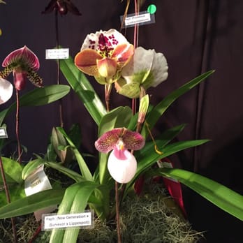 Lauritzen Gardens - Venues & Event Spaces Near Me - Omaha, Nebraska Lauritzen Gardens - Venues & Event Spaces Near Me - Omaha, Nebraska