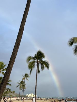 Waikīkī Beach by null