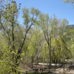 Wilderness Expeditions RV Park