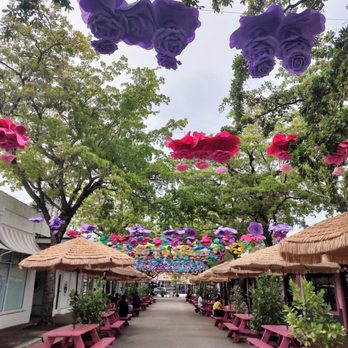 Fuller Street - Festivals Near Me - Miami, Florida