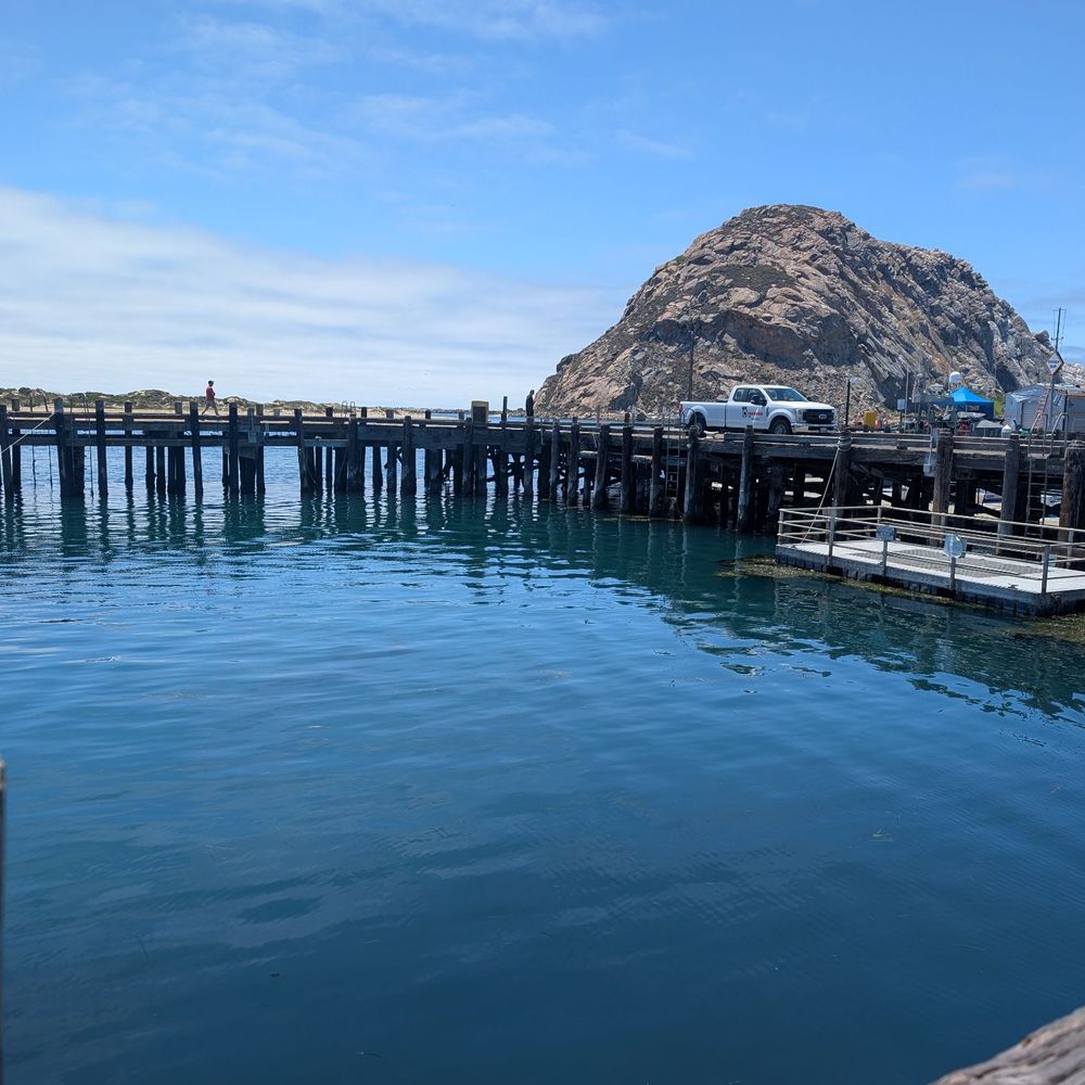 Tognazzini's Dockside Too - Dockside view - Seafood Near Me - Morro Bay, California Tognazzini's Dockside Too - Dockside view - Seafood Near Me - Morro Bay, California