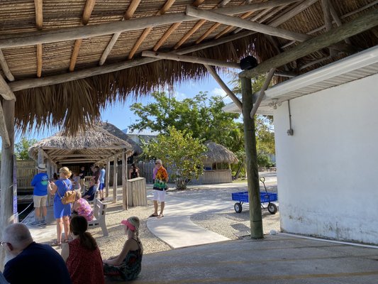 Dolphin Research Center by null