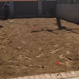 Weeds gone and new compost laid down