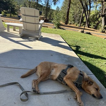 Firefall Ranch Yosemite - Hotels Near Me - Groveland, California