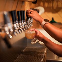 Moose Lake Brewing Company - beers on tap