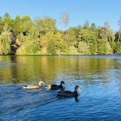 South Fork American River