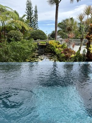 Rainforest Inn by null