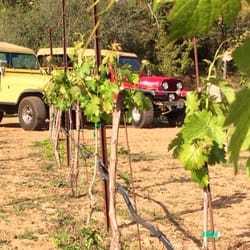 Cloud Climbers Jeep Tours - Pano of a vineyard
