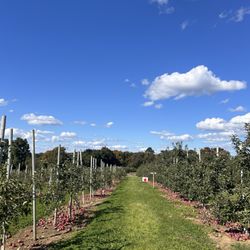 Beardsley Cider Mill & Orchard