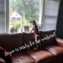 Photo of Jill Winhold - Pet Sitter