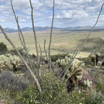 Brown's Ranch Trailhead - Hiking Near Me - Scottsdale, Arizona