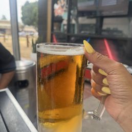 Ice cold modelo