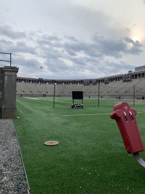 Harvard Stadium by null