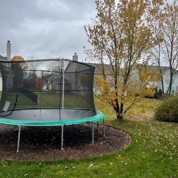 Terrys Tree Service - $400 to take down this tree... - Tree Services Near Me Terrys Tree Service - $400 to take down this tree... - Tree Services Near Me
