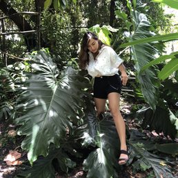 Leaves as big as me! I'm 5'3" for reference. Leaves as big as me! I'm 5'3" for reference.