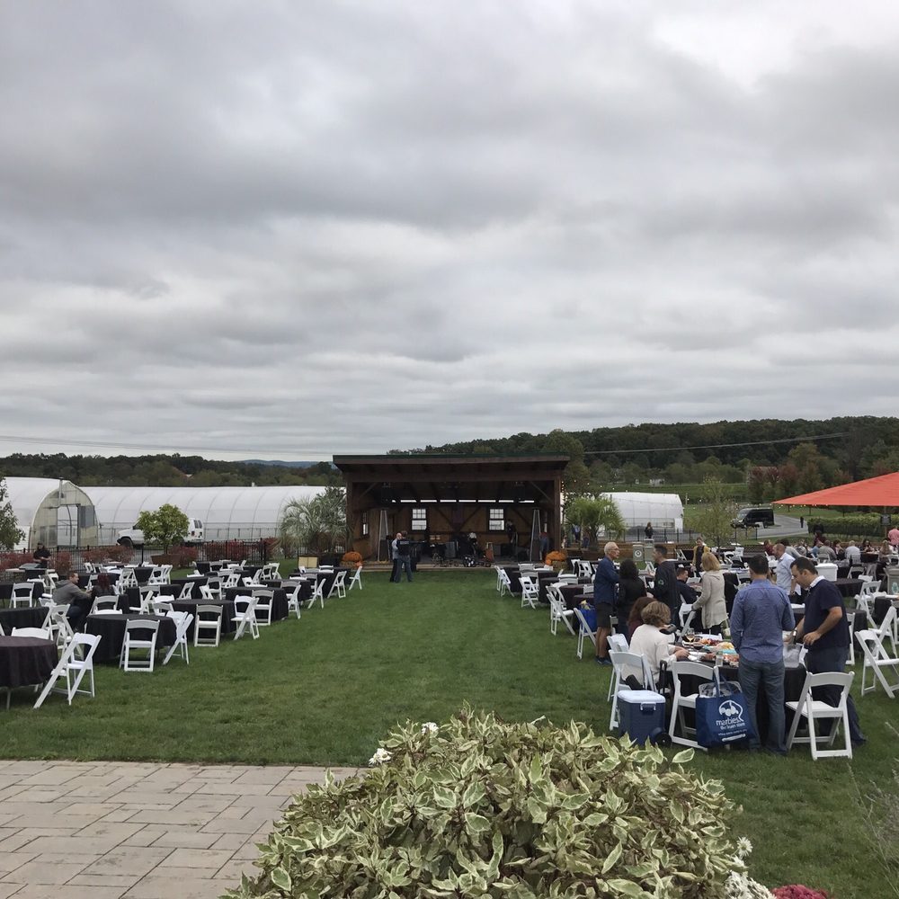 Beneduce Vineyards - The outside tables - Wineries Near Me - Pittstown, New Jersey Beneduce Vineyards - The outside tables - Wineries Near Me - Pittstown, New Jersey