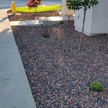 Green Valley Landscape & Maintenance - a small tree in a gravel bed - Landscaping Near Me Green Valley Landscape & Maintenance - a small tree in a gravel bed - Landscaping Near Me