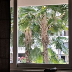 Cruise Holidays of Arrowhead - Window view