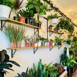 River Plant Co.