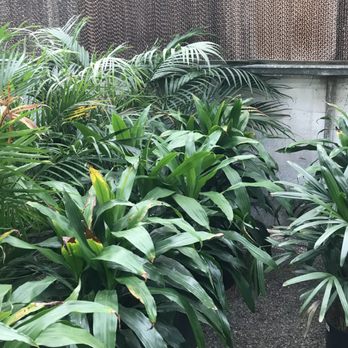 The Plant Farm - Nurseries & Gardening Near Me - Spokane Valley, Washington The Plant Farm - Nurseries & Gardening Near Me - Spokane Valley, Washington