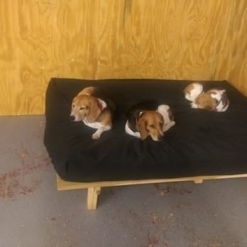 Right Futons & Waterbeds - Baker boys love laying and cuddling on the Right Futon beds. - Furniture Stores Near Me - Houston, Texas Right Futons & Waterbeds - Baker boys love laying and cuddling on the Right Futon beds. - Furniture Stores Near Me - Houston, Texas