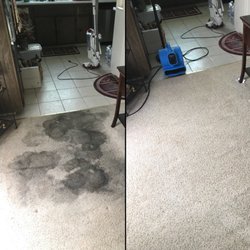 United Carpet Care 93 Photos 47 Reviews Carpet Cleaning Concord Ca Phone Number Yelp