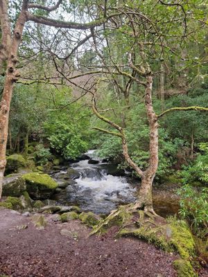 Torc Waterfall by null