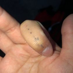Ants Tattoo - $350 temporary tattoo.