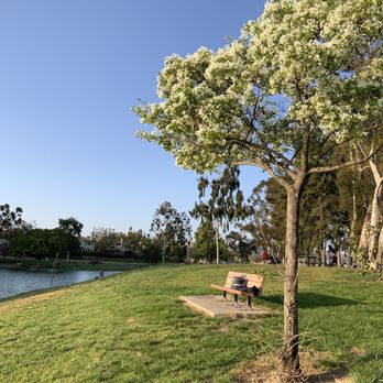 Tri-City Park - Beautiful flower trees 5.08.21 - Parks Near Me - Placentia, California Tri-City Park - Beautiful flower trees 5.08.21 - Parks Near Me - Placentia, California