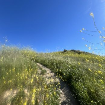 Weir Canyon Trailhead - Hiking Near Me - Anaheim, California
