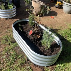 Green's Nursery - Rosemary, roses, and lavender