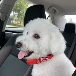 Grooming Day ! Happy with my haircut Grooming Day ! Happy with my haircut