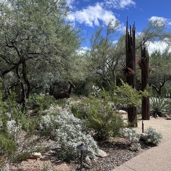 Tohono Chul - Museums Near Me - Tucson, Arizona Tohono Chul - Museums Near Me - Tucson, Arizona