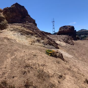 Corona Heights Park - Corona Heights 6/12/21 - Dog Parks Near Me - San Francisco, California