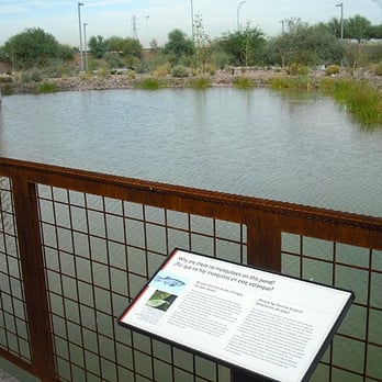 Nina Mason Pulliam Rio Salado Audubon Center - Wetland area and viewing terrace - Parks Near Me - Phoenix, Arizona Nina Mason Pulliam Rio Salado Audubon Center - Wetland area and viewing terrace - Parks Near Me - Phoenix, Arizona