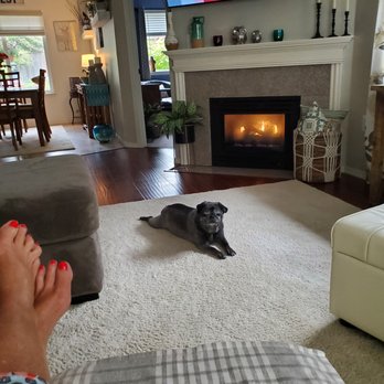 Canyon Pet Lodge - Meet Olive May! - Pet Boarding Near Me - Puyallup, Washington Canyon Pet Lodge - Meet Olive May! - Pet Boarding Near Me - Puyallup, Washington